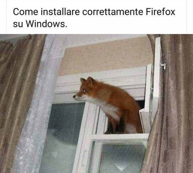 FireFox su Windows.jpg