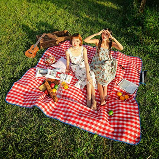 Plaid-picnic.jpg