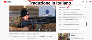 La trascrizione ora è in Italiano tradotto
