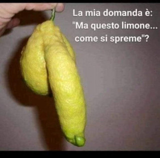 il limone.jpg