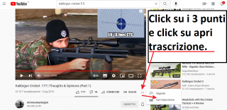 3) clickare su apri trascrizione