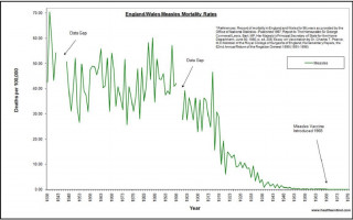 grafico vaccino morbillo.jpg