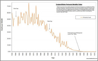 grafico vaccino polio.jpg