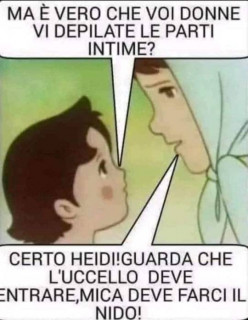 nido.jpg