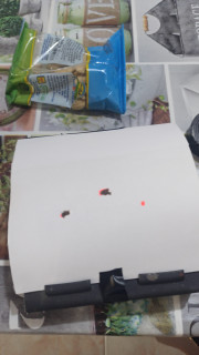 IMG-20241028-WA0054.jpeg