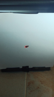 IMG-20241028-WA0023.jpeg