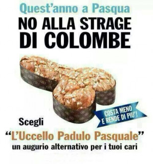 padulo.jpg